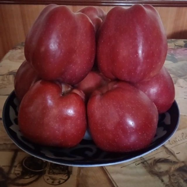 Shreder Mevali кучатлари