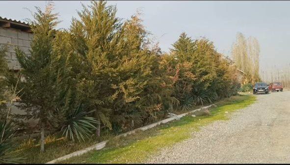 Товукхона ва Нотурар жой сотилади, 2 та товукхонаси бор