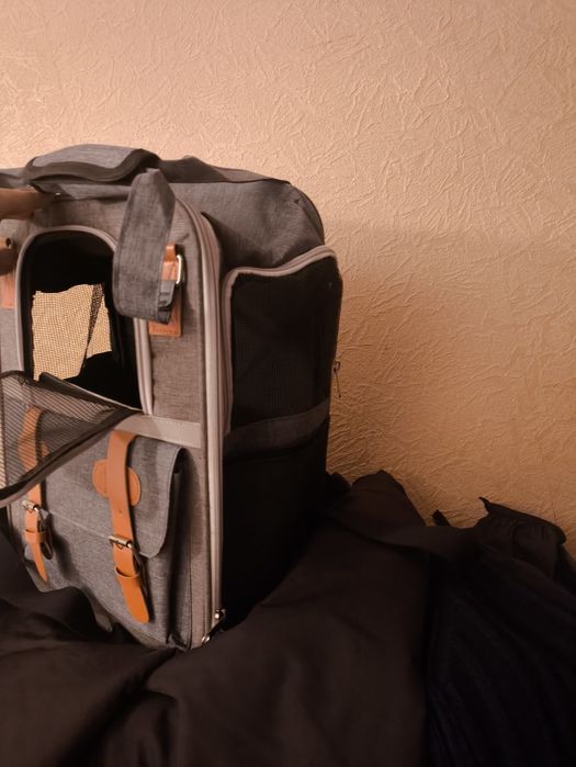 Сумка для кошек и котов.