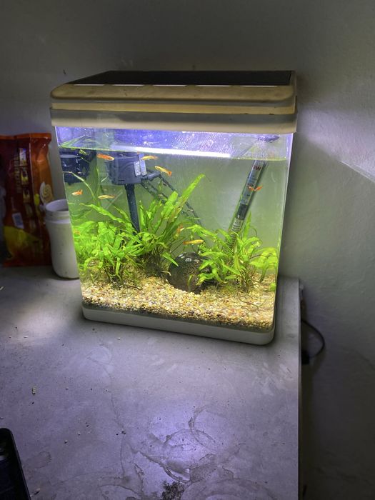 Грунт Для аквариума