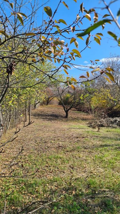 Teren de vânzare în Copou, Viticultori, Iași