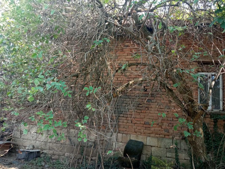 Продава се Къща в с. Софрониево, Област Враца - 72 кв.м за 57 €/кв.м - Снимка #2