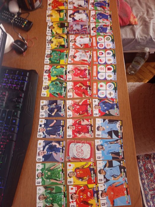 PANINI cards 2026 world cup