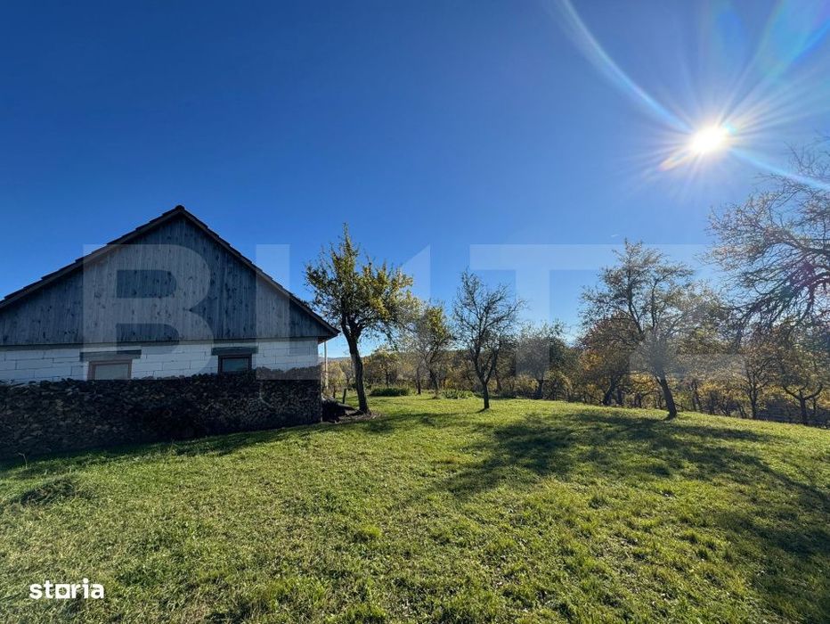 Teren extravilan 2000mp in Tarsa