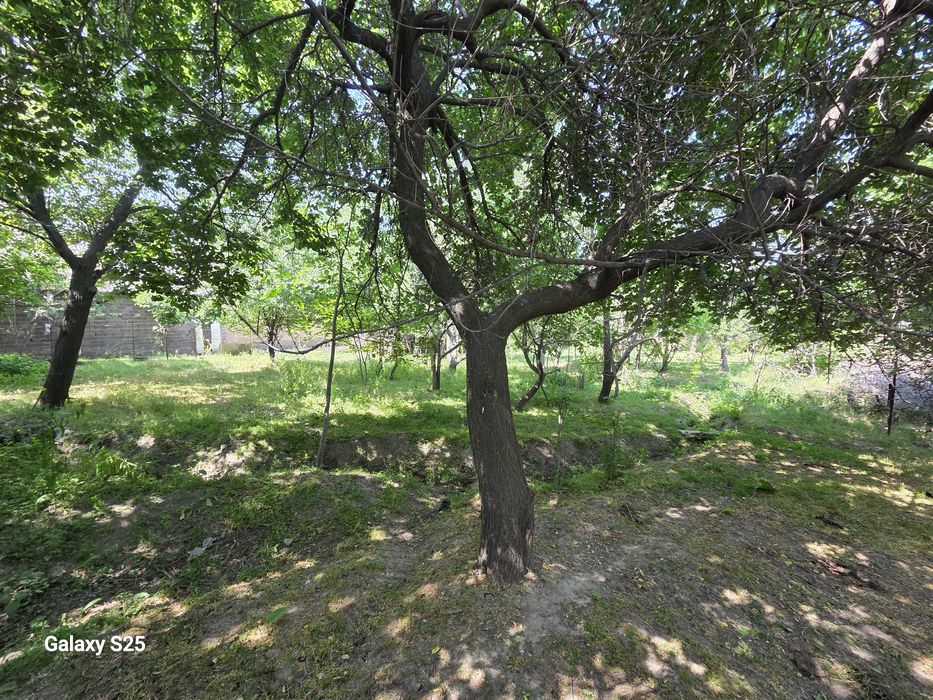 Ер сотилади гулбоғ да