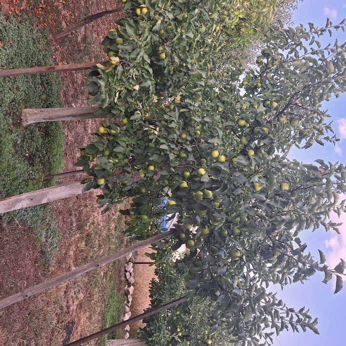 Продава се Къща в Панагюрище - 20 кв.м за 1500 €/кв.м - Снимка #4