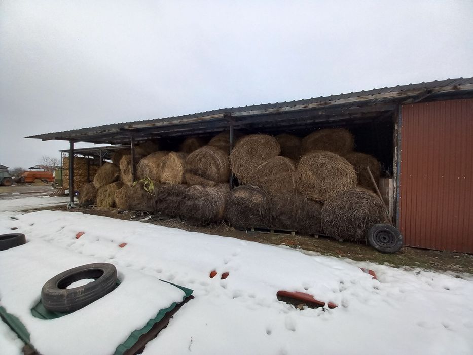 Vănd  Baloți  cu lucerna de calitate