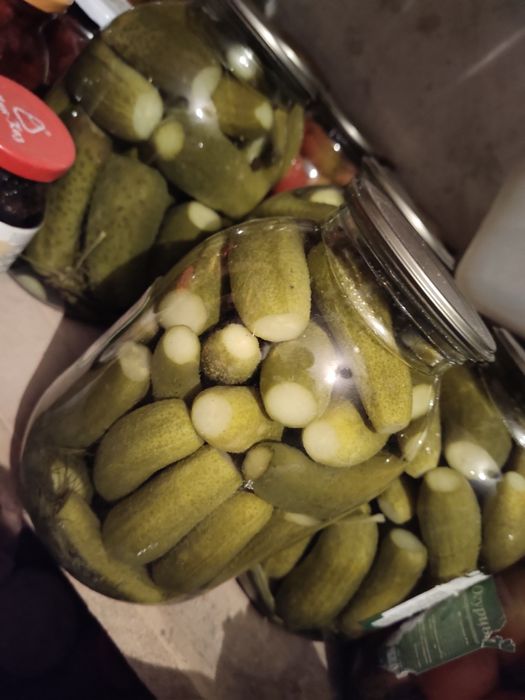 Продается засолка .