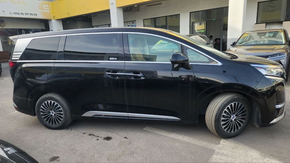 Byd denza D9 premium class