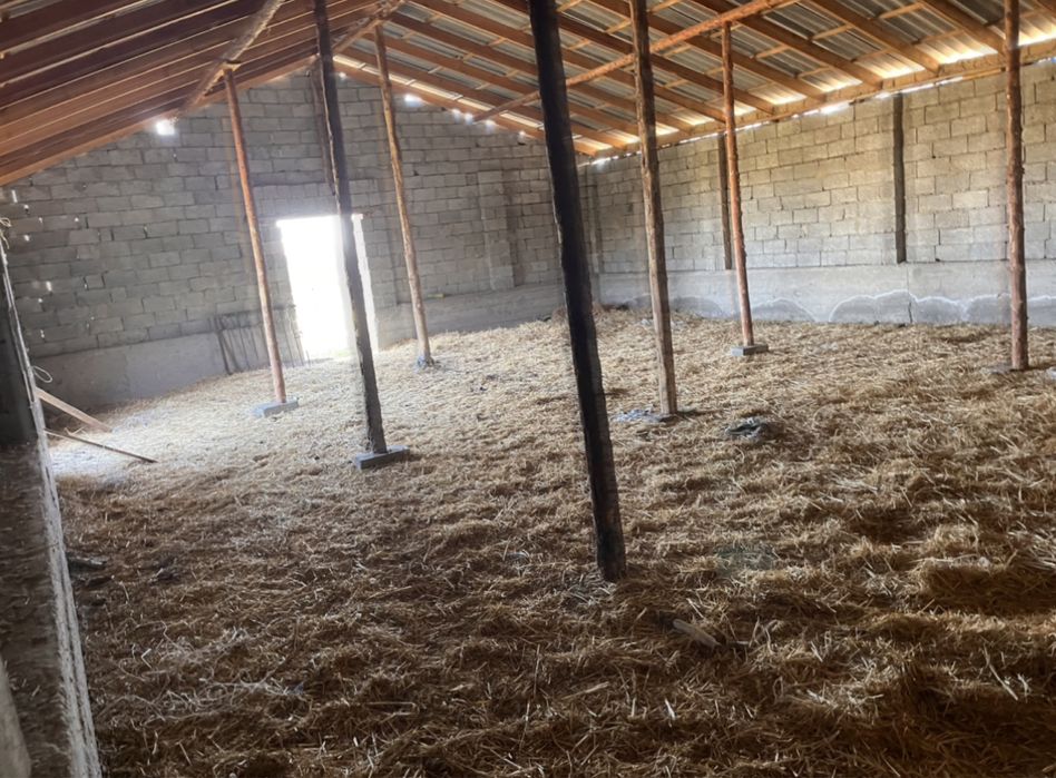 Мал Кора Мал Қора Фазенда