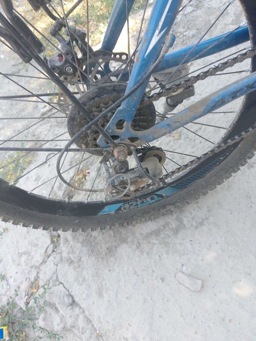 Velosioet skorisli bugun olganga kami bor