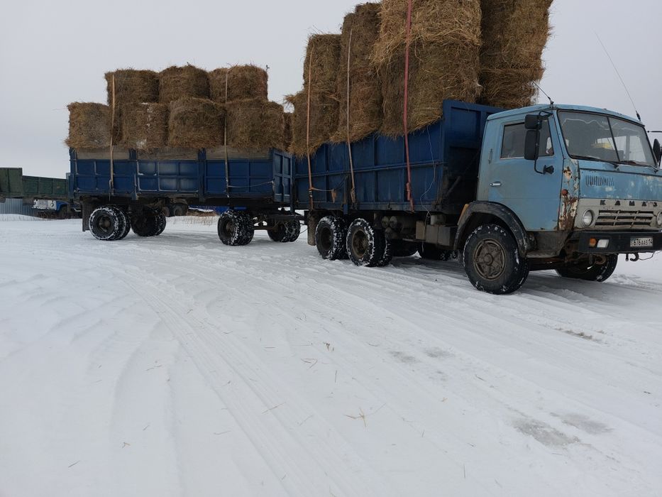 Продам сено в тюках и рулонах