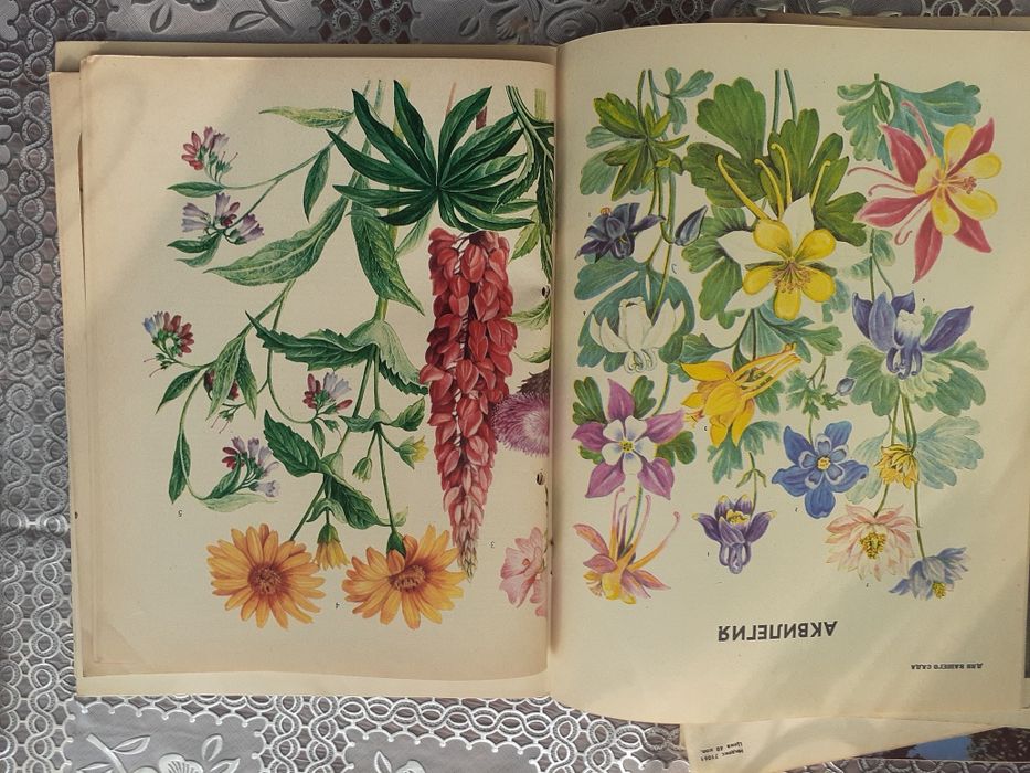 Журнал цветоводство