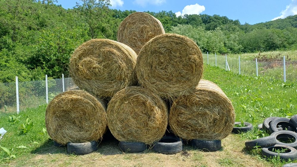 Baloți fân de anul acesta
