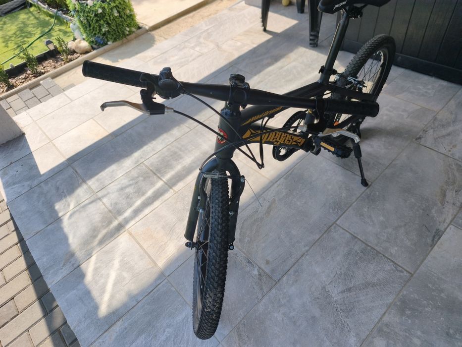 Bicicleta copii Pegas Drumeț 20" - negru mat