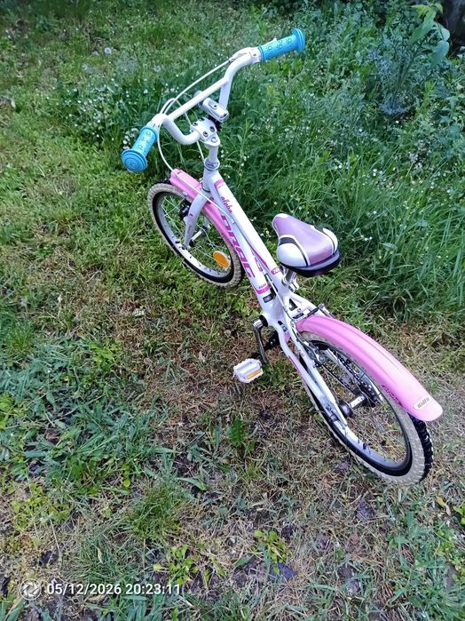 Bicicletă copii 5 ani
