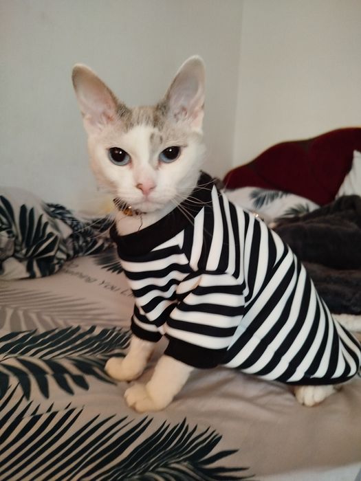 Отдам в хорошие руки!!!