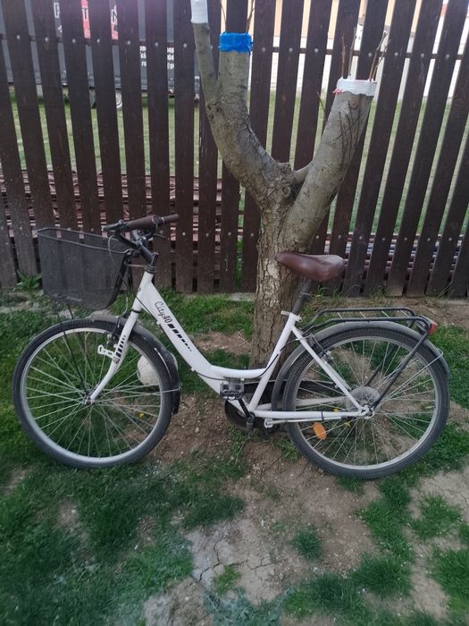 Biciclete de vanzare