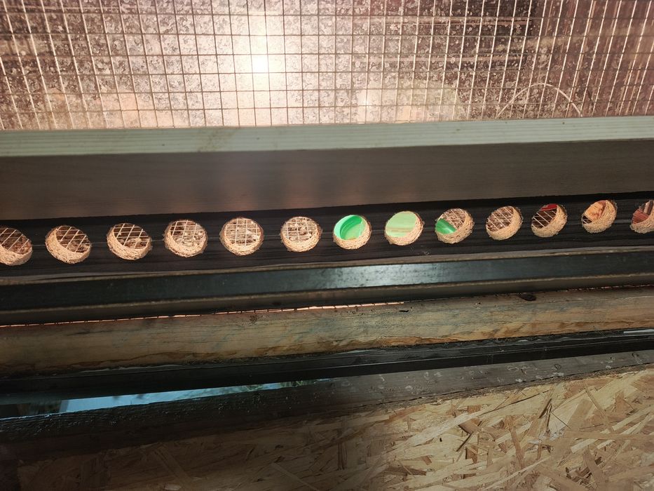 Продам брудер ручной работы