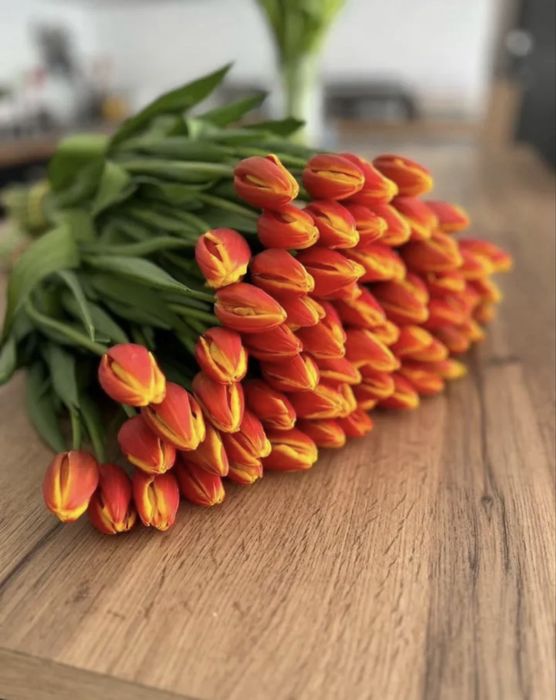 Тюльпаны предзаказ к 8 марта, самая лучшая цена