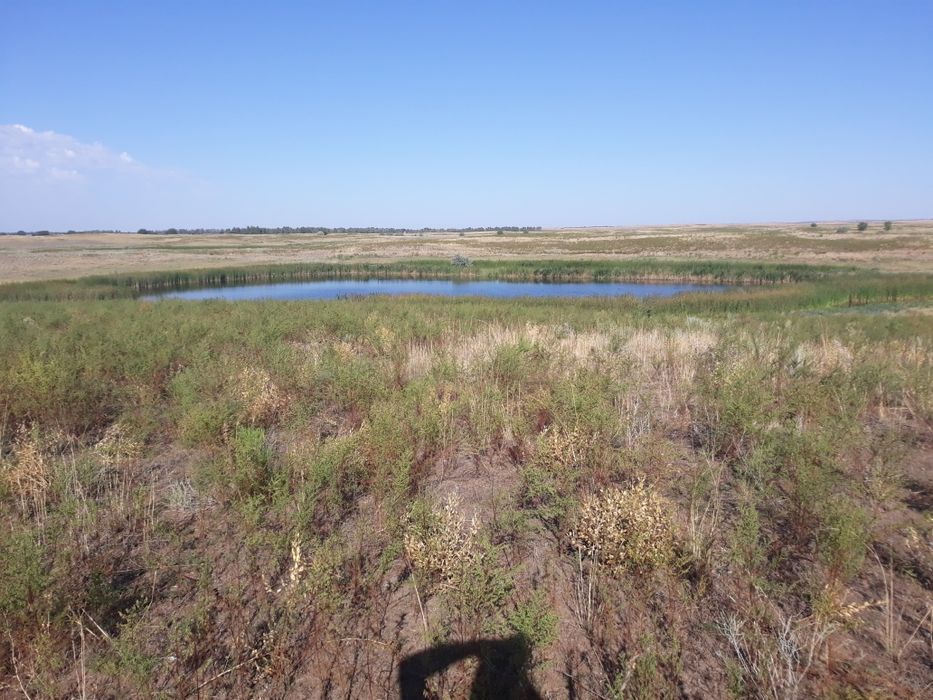 Продам участок (к/х, с/х)