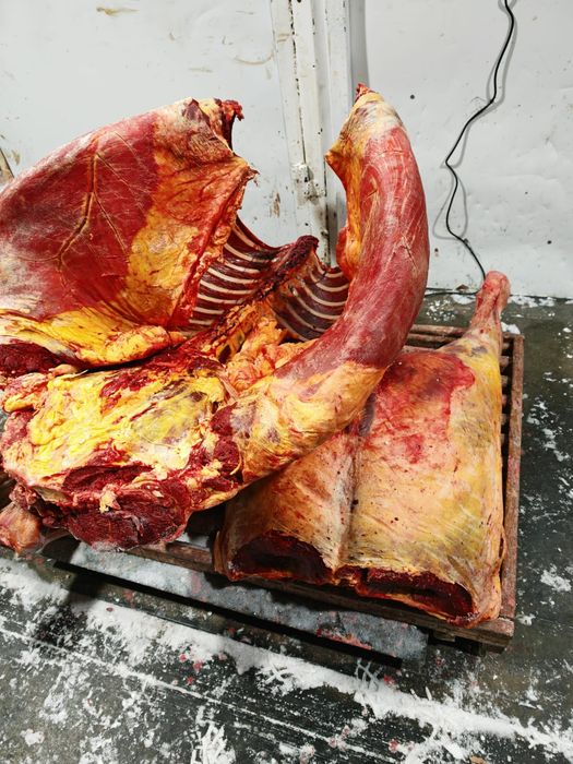 Мясо говядины конины тушами