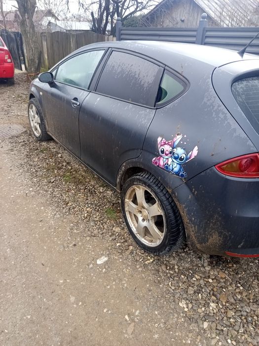 Seat Leon 1p din 2007