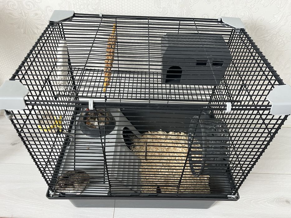 Продам хомяков с клеткой