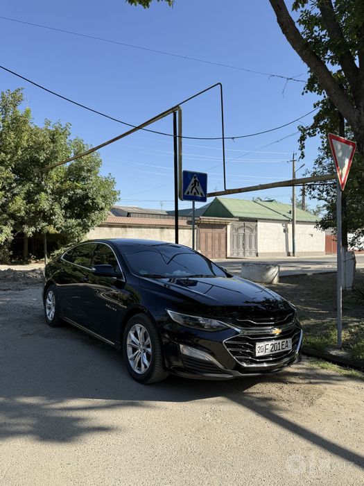 Malibu atmasferniy 2017