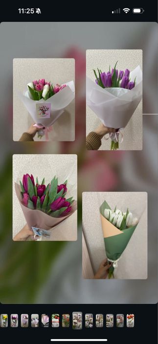 Продажа тюльпанов