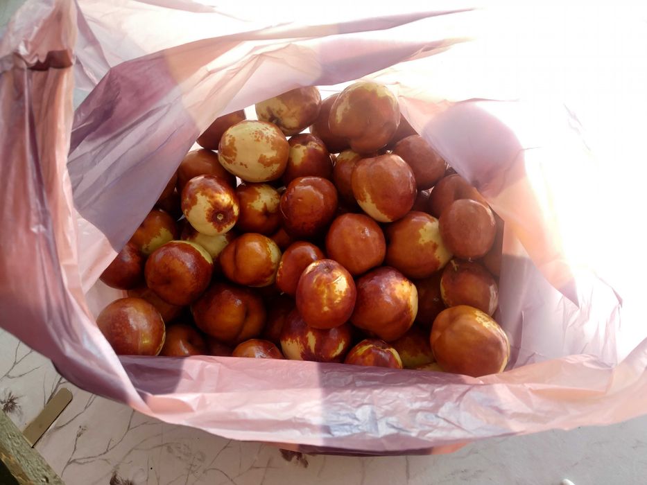 НАТУРАЛЕН сушен хинап