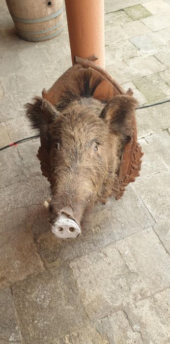 Декорация глава на глиган .