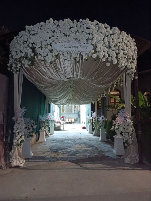 Ofarmleniya gullari arzon narxda