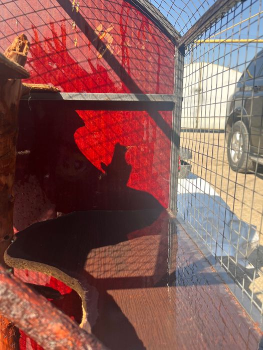 Клетка для животных