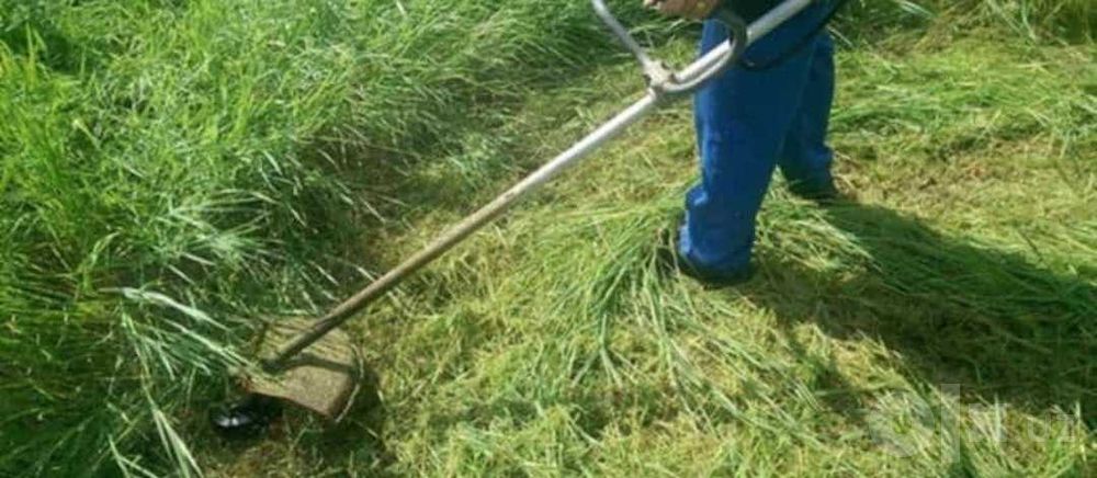 Услуги по саду. Стрижка газона, покос травы, уход за участком