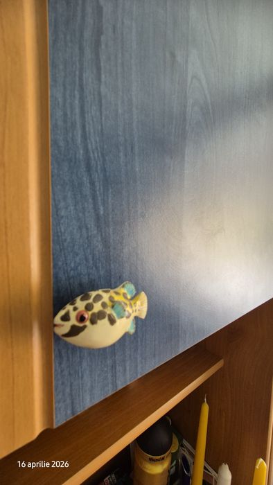 Mobila copii tineret