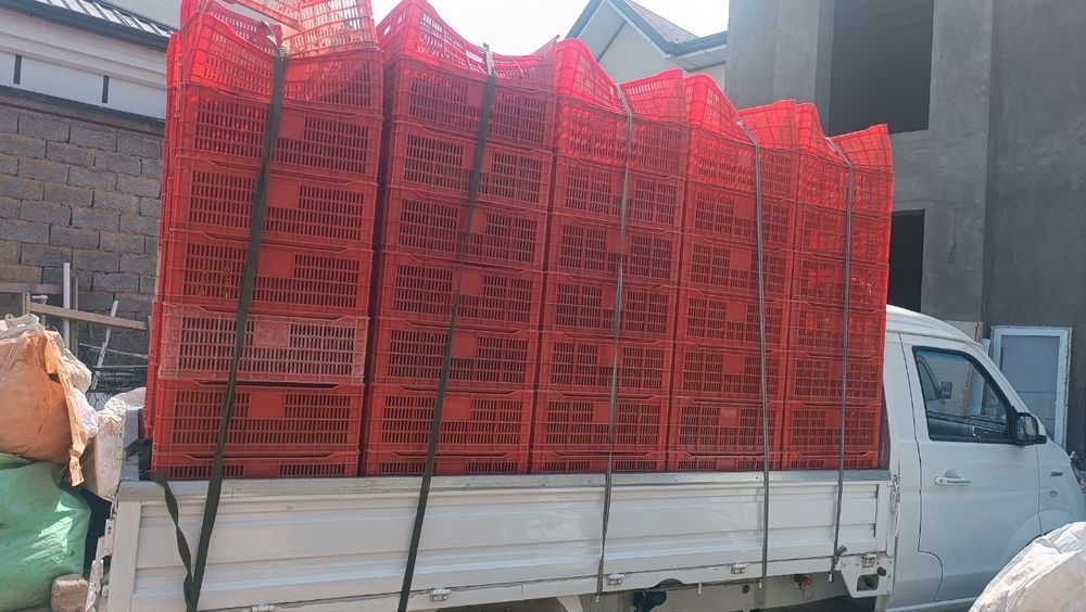 Plasmassa plastik olamiz