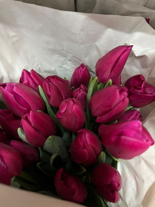 Букет красивых тюльпанов