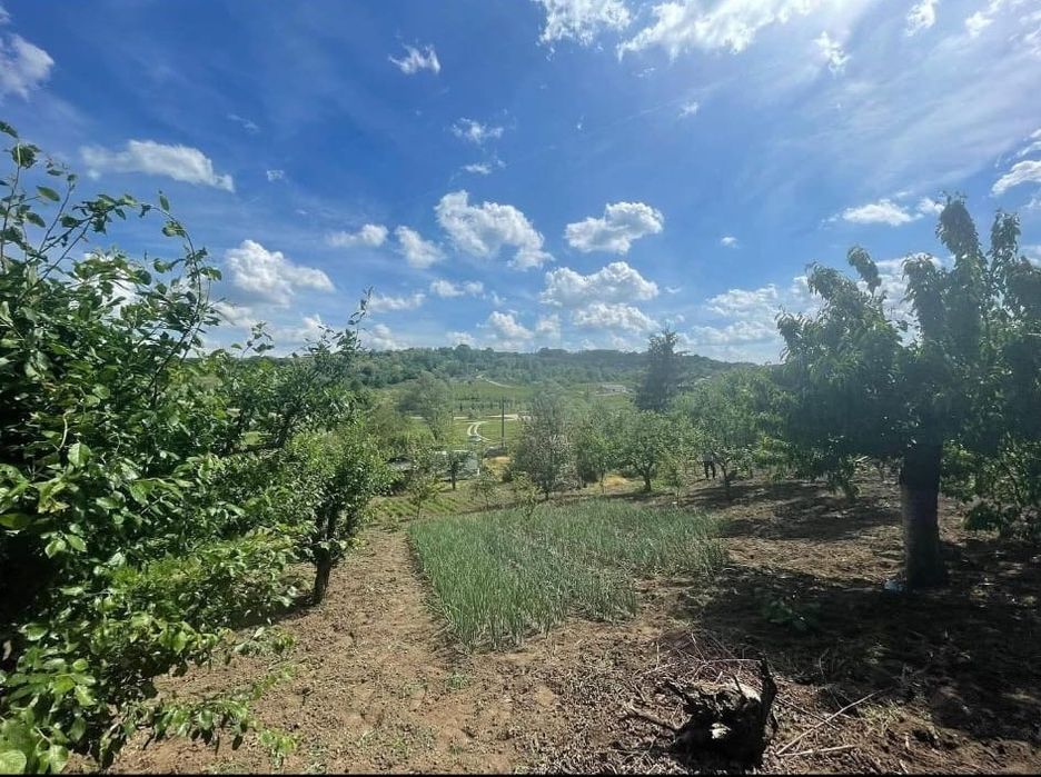 Teren intravilan 1151mp, Paleu, Uileacu de Munte