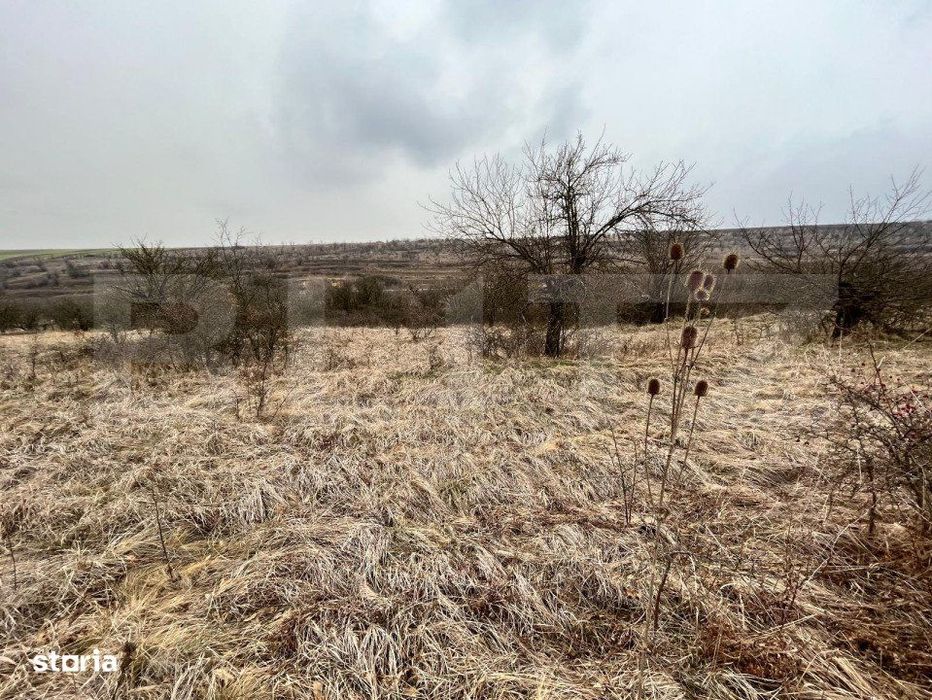 REDUCERE!!! Teren extravilan 5.613 mp, livada, zona Predesti