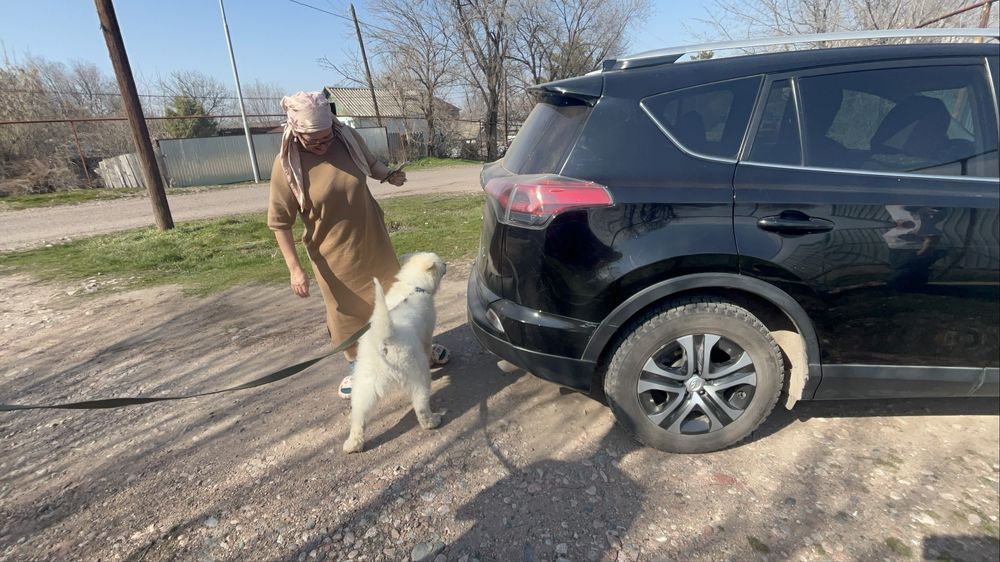 Обмен или продам