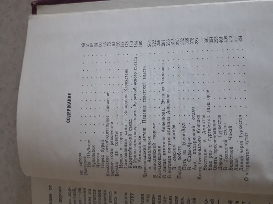С. Сейфуллин Тернистый путь. Книга