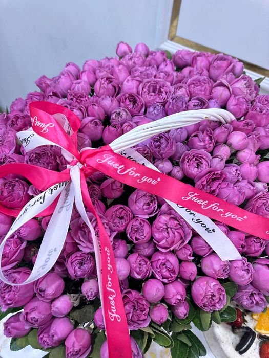 Гүл стылады пионы