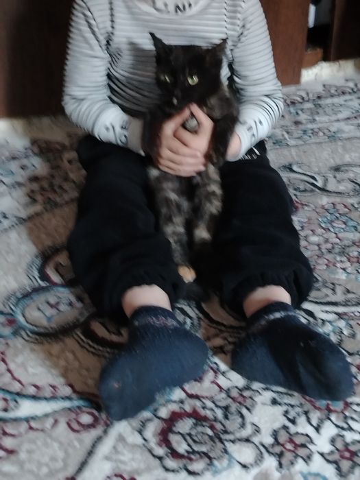 Мушук мушук мушук