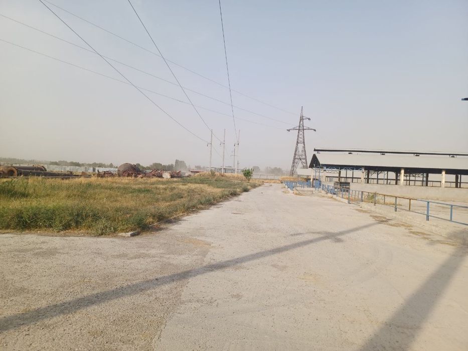 Molxona va bino inshoat