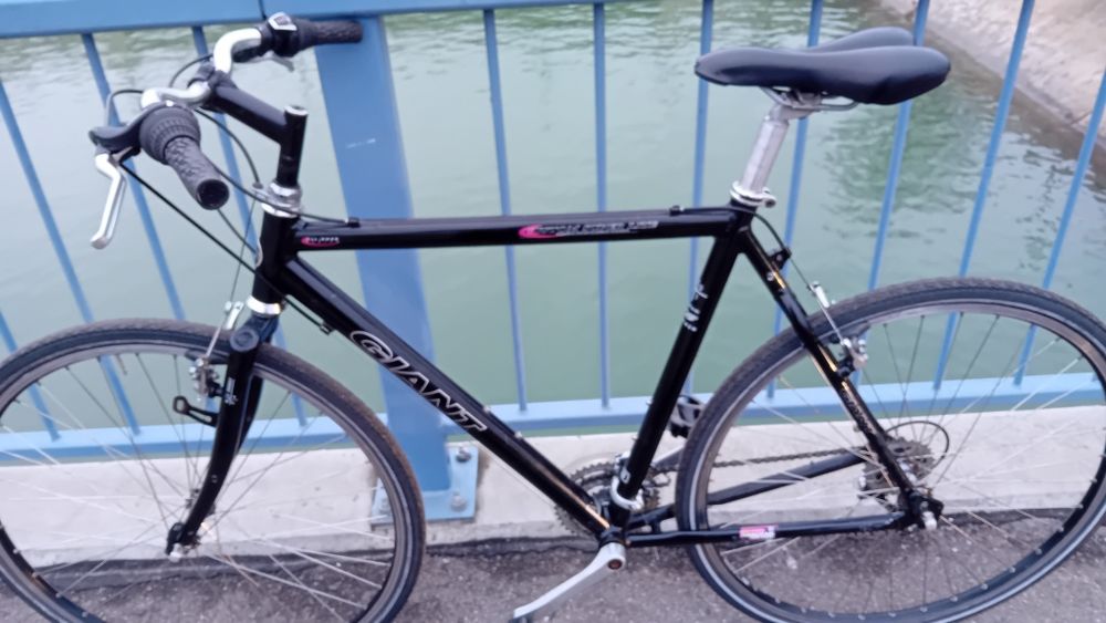 Bicicleta Giant cu roti pe 28