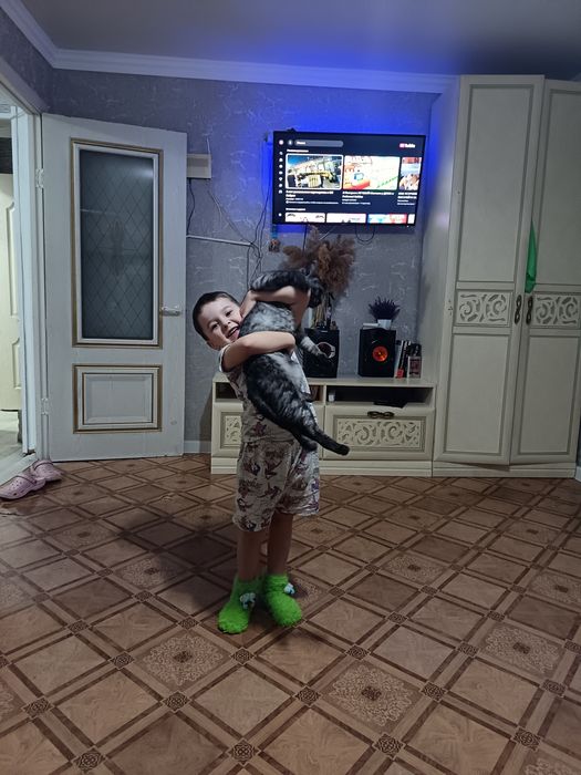 Ищем невесту для вязки