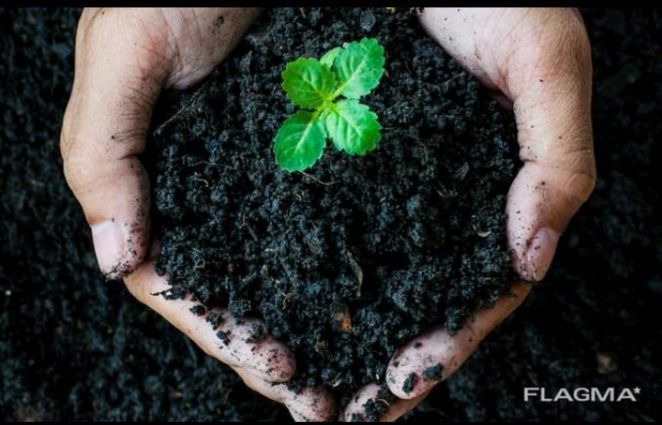 сифатли биогумус