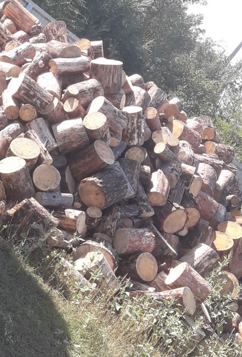 Дрова сосна чурками