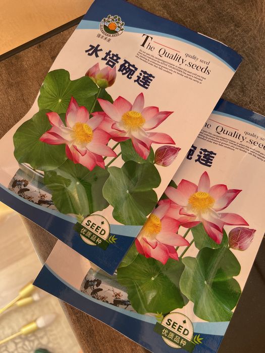 Продам семена лотоса пачка 500